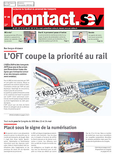 SEV N° 8/2017