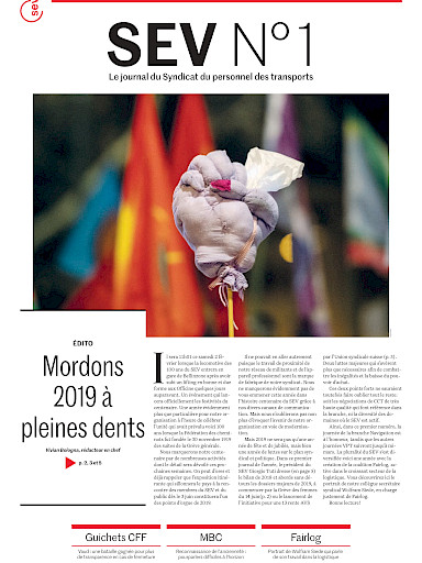 SEV N° 1/2019