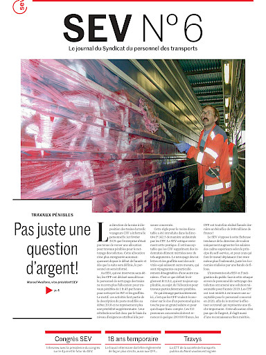SEV N° 6/2019