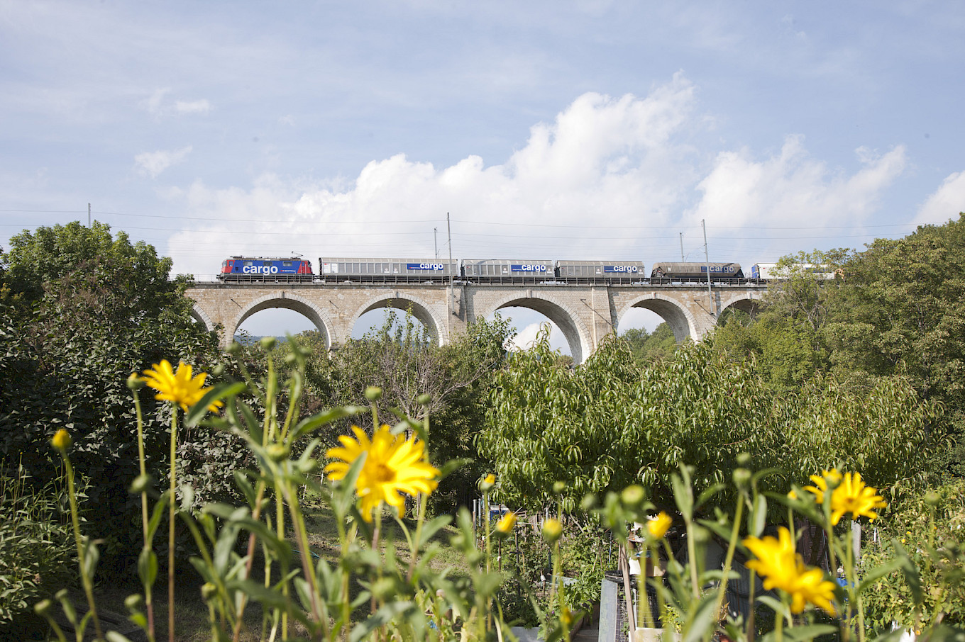 SBB Cargo