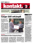 SEV Nr. 13/2010