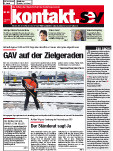 SEV Nr. 24/2010