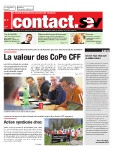 SEV N° 7/2011