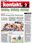 SEV Nr. 6/2013