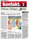 SEV Nr. 8/2013