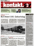 SEV Nr. 13/2013